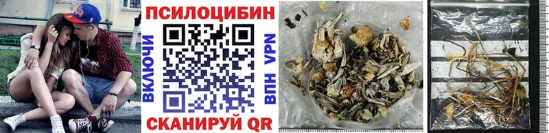 Галлюциногенные грибы Magic Shrooms Мончегорск