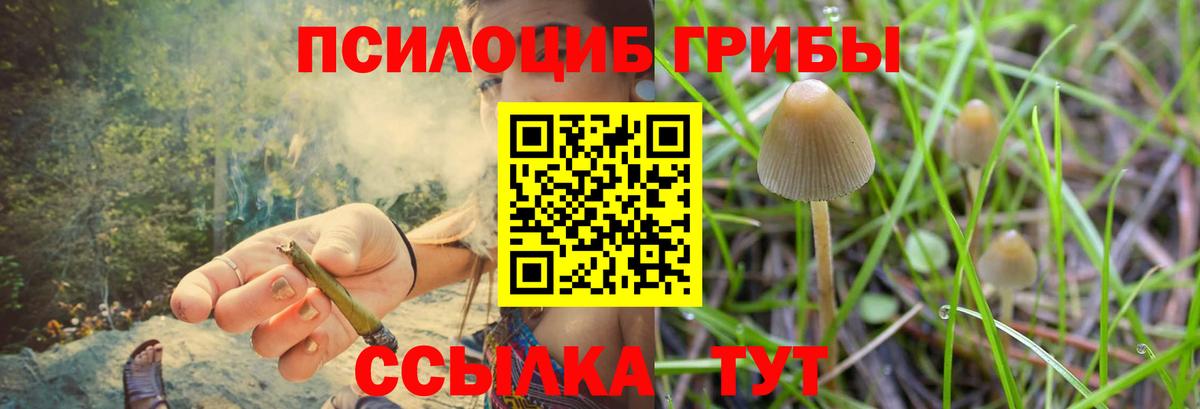Галлюциногенные грибы Cubensis  цена   Мончегорск  Вход с VPN 