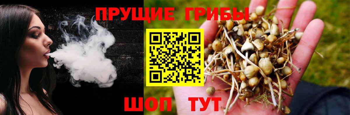 Псилоцибиновые грибы мухоморы Мончегорск